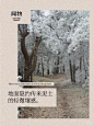 独立在雪国那一片松林下