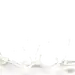 牛奶1031