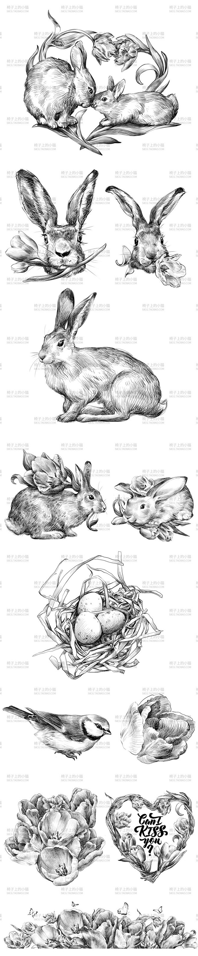 手绘动物 兔子 鸟 花 素描画 卡片素材...