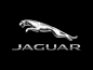 捷豹（Jaguar）是英国的一家豪华汽车生产商，车标为一只正在跳跃前扑的“美洲豹”雕塑，矫健勇猛，形神兼备，具有时代感与视觉冲击力，它既代表了公司的名称，又表现出向前奔驰的力量与速度，象征该车如美洲豹一样驰骋于世界各地。世界奢华汽车品牌捷豹自诞生之初就深受英国皇室的推崇，从伊丽莎白女王到查尔斯王子等皇室贵族无不对捷豹青睐有加，捷豹更是威廉王子大婚的御用座驾，尽显皇家风范。1989年，捷豹被美国福特汽车公司以40.7亿美元并购，2008年3月26日，福特又以23亿美元把捷豹连同路虎（Landrover）售予