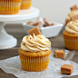 Brown Butter Pumpkin Cupcakes with Caramel Cream Cheese Frosting 