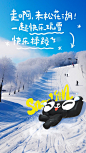 @我叫猫天天 的个人主页 - 微博