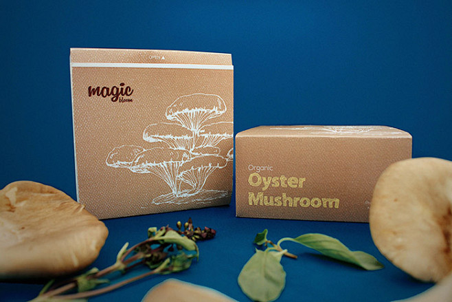 Magic Bloom品牌有机蘑菇创意包...
