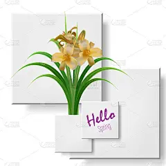 黄花菜灌木黄色娇嫩的花和绿色扇形叶，矢量插图