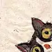 cat----