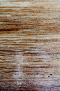 wood_texture_03.jpg (1356×2048)