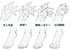 月星晨曦采集到兽人