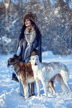雪地上骑着灵缇犬的女孩