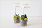 #手工##设计##婚礼#[imior.com]婚品DIY 仙人掌坐签卡 沙漠中的指引 更多:http://www.imior.com/goods/show?gid=5004