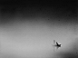 Howl on Behance