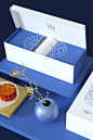 TET TRUNG THU - Moon Cake Packaging