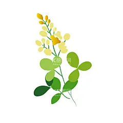 开花植物  - 源文件下载【酷图网】开花植物,开花植物素材,开花植物花边,花边,植物花边,植物边框,边框,开花植物插画,植物插画,手绘植物,手绘花朵,植物装饰,小清新植物,植物海报,植物贴纸,广告装饰,平面广告,装饰边框,花朵