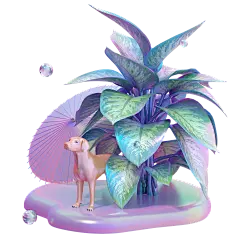 酸性蒸汽波雨水植物装饰芭蕉狗小雨