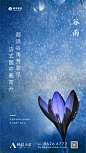 谷雨(1)