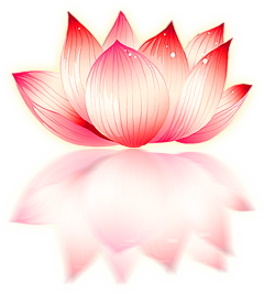 李疏影采集到花卉植物 叶子枝条