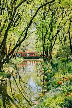 Y铃铛Lee采集到风景