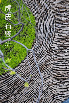不想开餐馆的建筑师不是好厨子采集到幼儿园