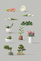 植物盆栽花树小草模型 Plants mockup 场景模型 Vol.01 - [1]-Plants.jpg