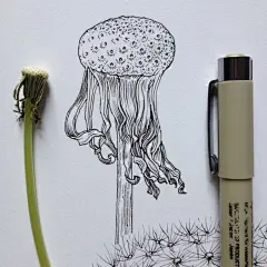 花绘