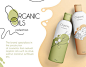 Organic oils| Illustration for cosmetics brand