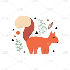 松鼠插图