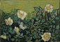 1280px-Vincent_van_Gogh_-_Wild_roses_-_Google_Art_Project.jpg (1280×909)