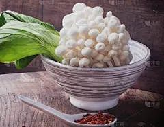 东方人,杏鲍菇,蚝蘑,油菜,孢子,褐色,水平画幅,素食,姬菇,特写