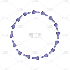 蓝色的花圆形花环孤立在白色的背景。水彩手绘画框用于问候、请帖、婚礼贺卡的设计。剪辑艺术。春天的花朵，
