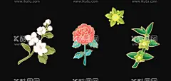 茉莉花枣花设计  - 源文件下载【酷图网】茉莉花,枣花,牡丹,花朵,枣树插画,枣花线稿,花儿