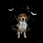 Juno's adventures : Last year I started including Juno in my projects. Maybe you remember him from letter B – beagle, from the project “Dog Alphabet”, that I created last fall. Inspired by the internet, by other great artists, we set up a photo studio, ma