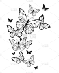 轮廓线画,蝴蝶,秘密,华丽的,背景分离,华贵,热带气候,树荫,涂料,旋风