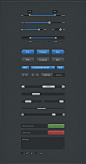 Blaubarry UI Kit - 365psd