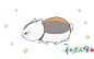 20151004141446_WiUkX