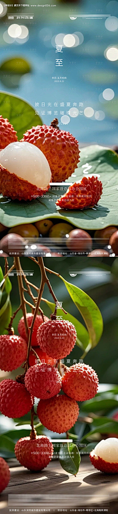 消旋采集到节日