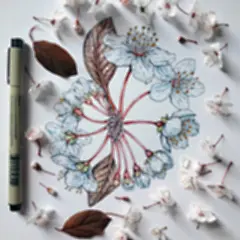 花朵盛开在插画中 -插画师Noel Badges Pugh逼真花卉插画 - 手工客，高质量的手工，艺术，设计原创内容分享平台