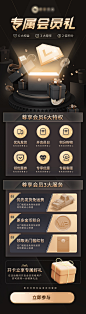 vip权益黑金长图