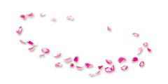 补充的替补采集到png