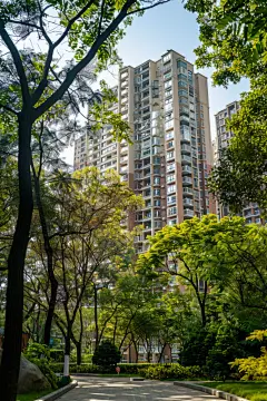 高端小区绿化环境规划图