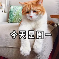 活力四射的上午[鼓掌][鼓掌][鼓掌] ​​​​ 来自著名网黄猫日 - 微博