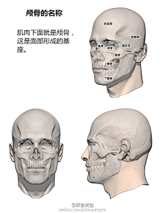 哒灵采集到头骨