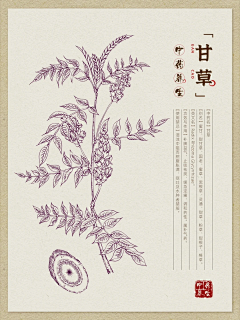 怪su叔采集到人
