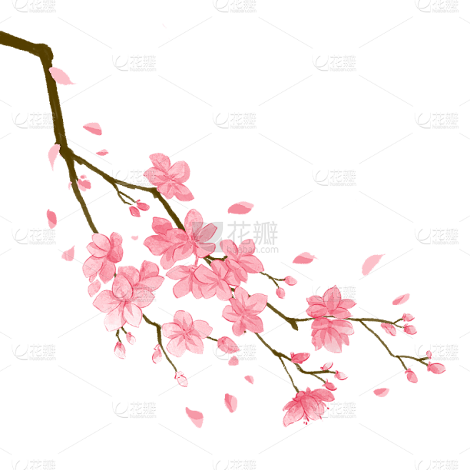 手绘-水彩花卉植物贴纸6
