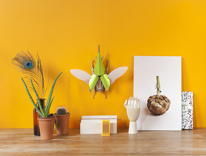 DIY Paper Beetle Scu...