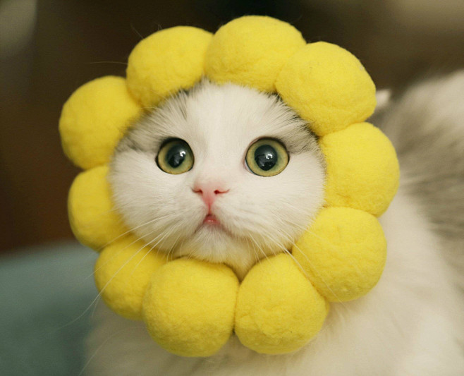 来自相册