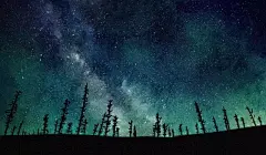 唯美星空插画｜今晚月色甚好，适合种星星