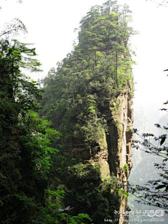 渡伶采集到山水