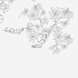 Diptyque花园
