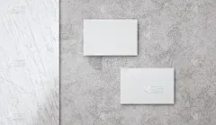 3 d演示。两张空白的白色名片模型。品牌标识的模板设计。
