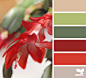 flora hues - color palette from Design Seeds