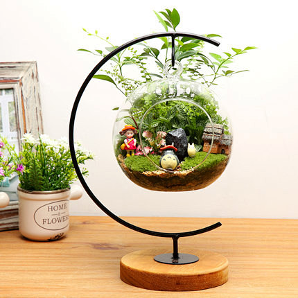 龙猫苔藓微景观生态瓶创意diy植物迷你玻...